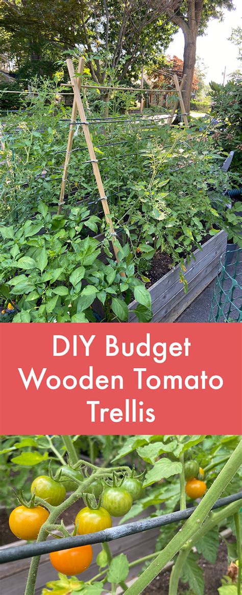 Tutorial Diy Budget Wooden Tomato Trellis Laptrinhx News