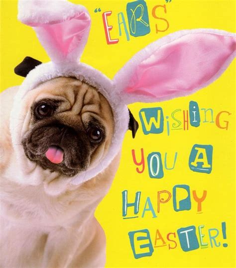 Ears Wishing You A Happy Easter Pug Dog Greeting Card Cards