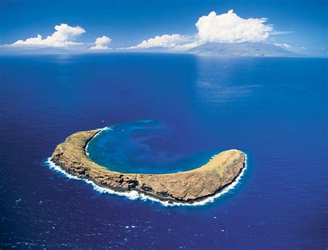 Molokini Crater Snorkeling Trips And Info Maui Hawaii