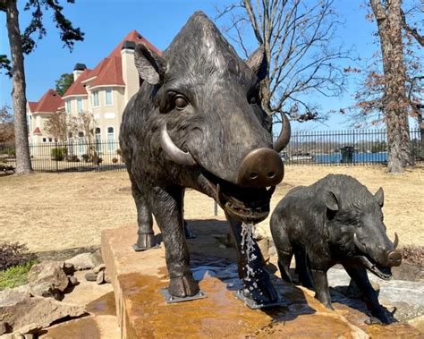 Arkansas Football Sam Pittman Builds Slobbering Hog Statue On Property College Football Hq