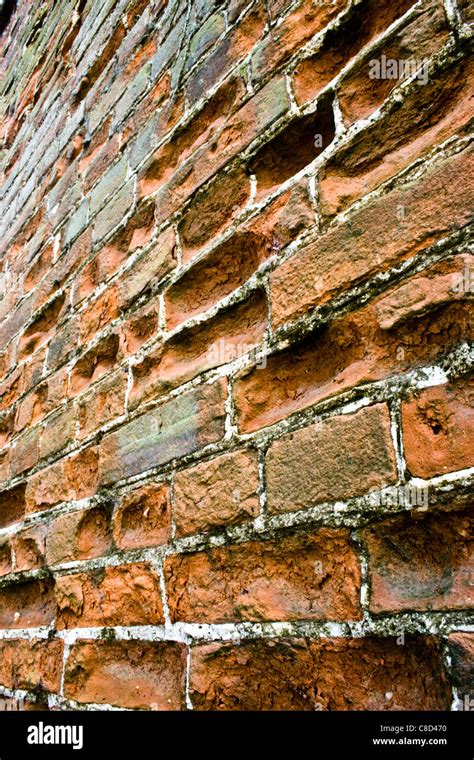 English Garden Wall Bond Brickwork Old Stock Photo Alamy