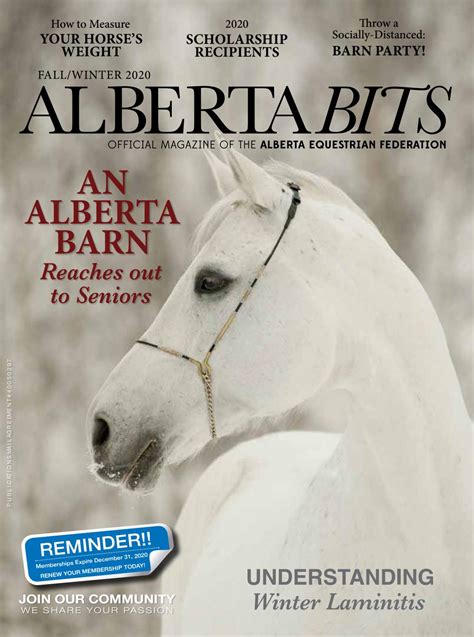 Sell your items, cars, property to others in united kingdom The 2020 Fall/Winter Edition of Alberta Bits by Alberta Bits - Issuu