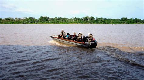 exploring the amazon river and rainforest on a cruise e lyn tham