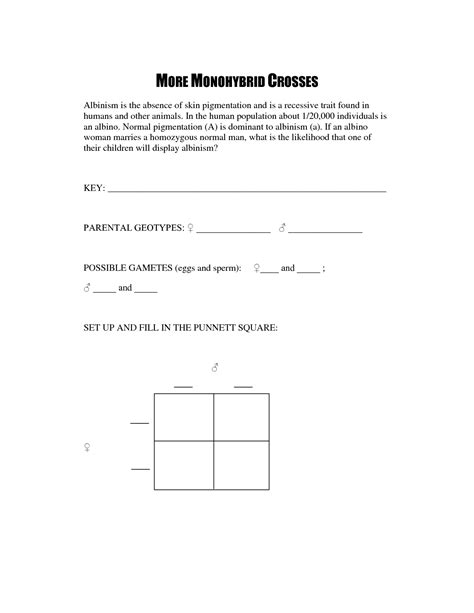 Some of the worksheets for this concept are amoeba sisters video recap dihybrid crosses mendelian, lesson 1 sexual reproduction and meiosis, punnett square answers, monohybrid cross work answer key, make some heterozygous monohybrid crosses answer key, monohybrid crosses answers, punnett square exercises with answers solving. 14 Best Images of Monohybrid Cross Worksheet Answer Key ...
