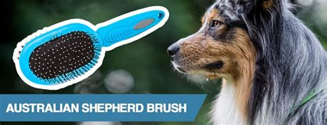 5 Best Brushes For Australian Shepherd 2020
