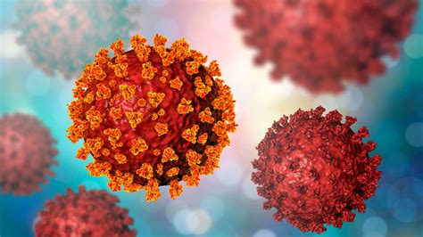 Nueva Variante Del Coronavirus Experta En Genómica Responde A