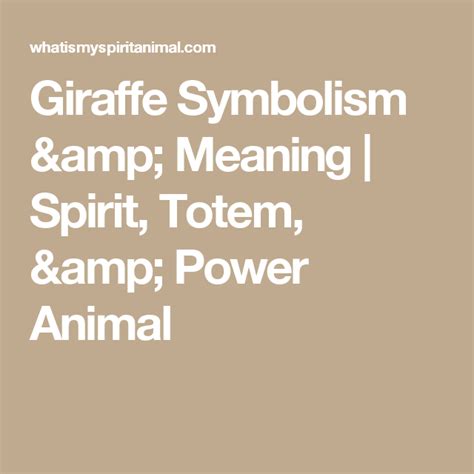 Giraffe Symbolism And Meaning Spirit Totem And Power Animal Hawk