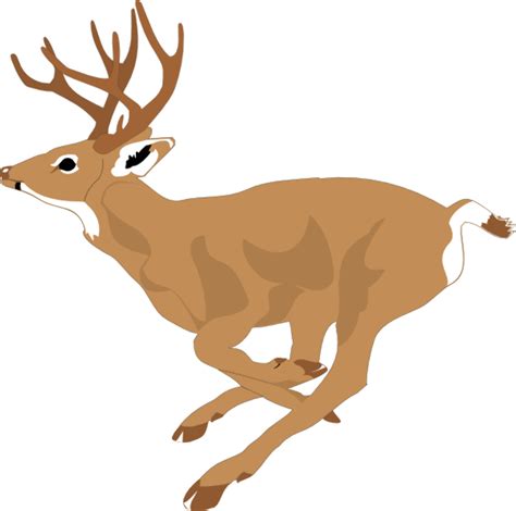Download High Quality Deer Clip Art Animated Transparent Png Images