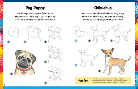 How To Draw A Realistic Dog Step By Step Mark Off The Width And