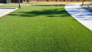 Maybe you would like to learn more about one of these? Cost of Artificial Turf in Dallas | How Much is Artificial Grass?