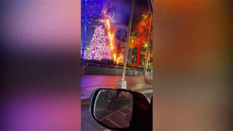 Giant Christmas Tree Outside Fox News Headquarters Set On Fire