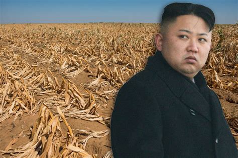 고난의 행군) in north korea, occurred in north korea from 1994 to 1998. North Korea famine: Defiant Kim regime 'would face ordeal ...