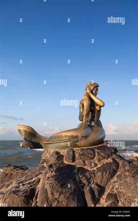 Golden Mermaid Statue High Resolution Stock Photography And Images Alamy
