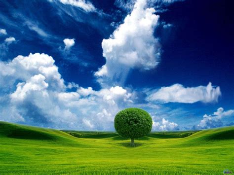 Blue Sky Nature Wallpapers On Wallpaperdog
