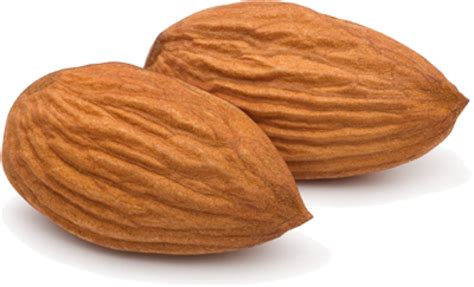 Two Almond Nuts 12486113 Png