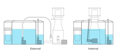 How To Choose A Protein Skimmer Simplicity Aquatics