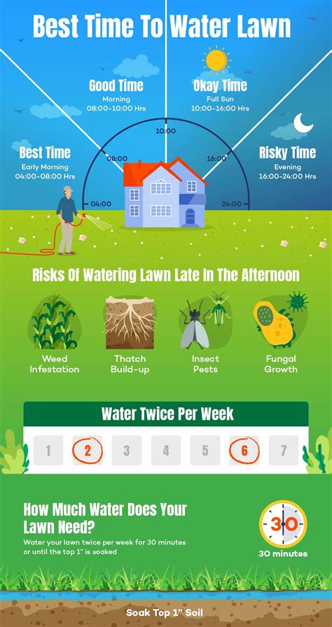 Best Time To Water Grass And Lawn For Perfect Results In 2021 Lawn