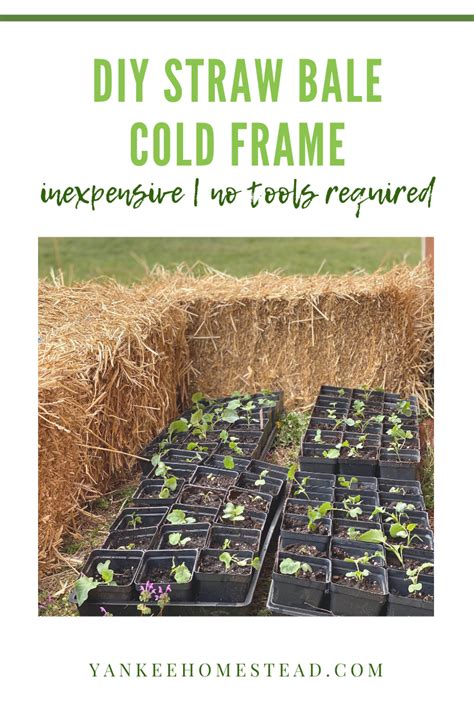How To Make A Straw Bale Cold Frame Cold Frame Gardening Cold Frame