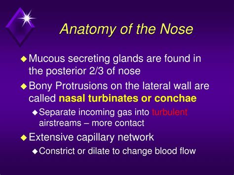 Ppt Module A2 Upper Airway Anatomy And Physiology Powerpoint
