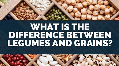 What Is The Difference Between Legumes And Grains Eat For Longer