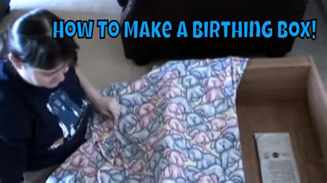 How To Make A Cat Or Dog Birthing Box 😺 Youtube