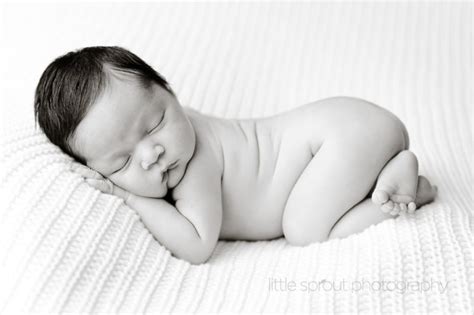 15 Best Newborn Photography Tutorials For Beginners And Advanced Photographers Tutorials Press