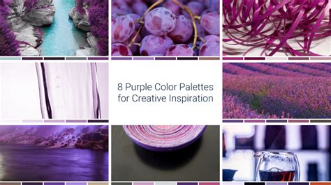 8 Purple Color Palettes For Daily Creative Inspiration Bergh Consulting