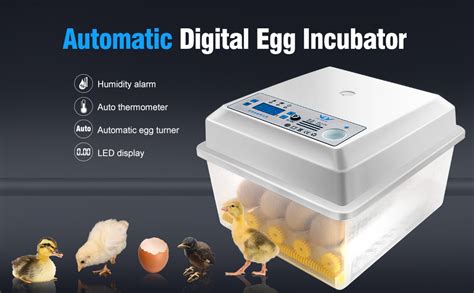 Egg Incubator Safego Hatching Incubator 16 Eggs With Automatic Turner