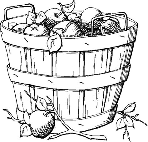 Pin by ToColor on Apple Basket Coloring Pages | Apple coloring pages, Coloring pages, Fruit