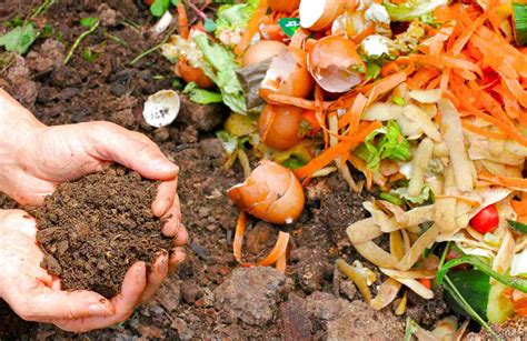 Fertilizantes Organicos Impacto Ambiental