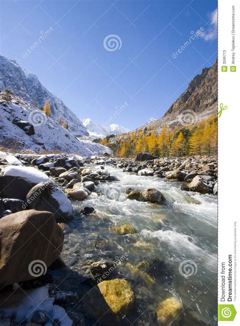 Aktru River Stock Image Image Of Branch Highland Brilliance 3596713