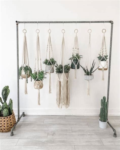 Diy Creative Ways To Hang Your Plants Apartment Therapy