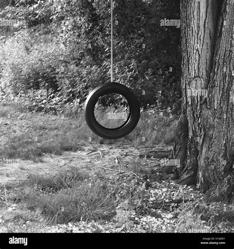Lonely Tire Swing Black And White Stock Photo Alamy