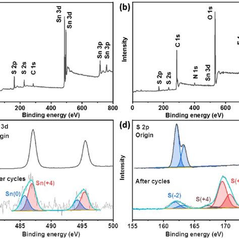 Xps Spectra Of Sns2cc Composite Li Metal Anode Before A And After Download Scientific