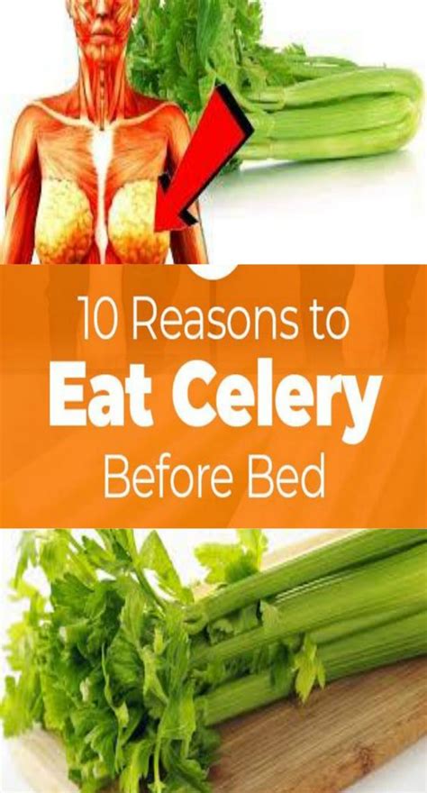 Unbelievable And Amazing Reasons Why You Should Start Eating Celery In