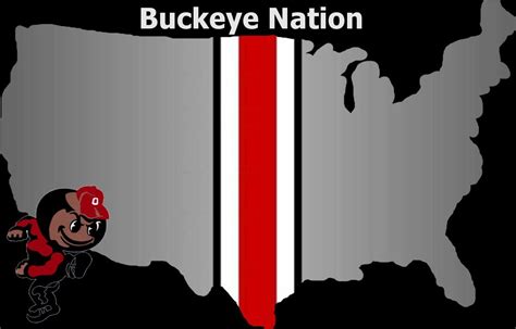 I Bleed Scarlet And Grey Buckeye Nation Ohio State Buckeyes Football