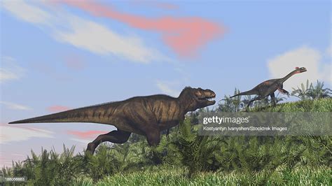 Tyrannosaurus Rex Hunting A Gigantoraptor In An Open Field High Res