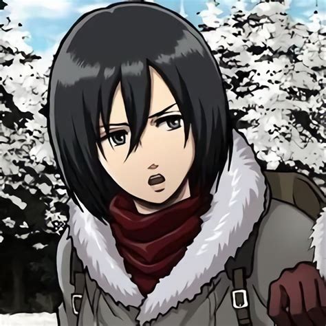 Mikasa Icon