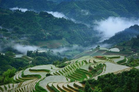 Guilin Longsheng Rice Terraces Tour China Chengdu Tours Chengdu