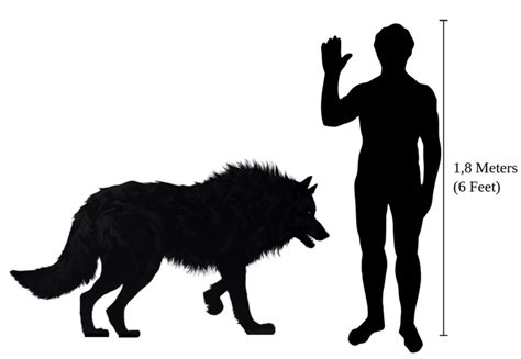 Dire Wolf Size Compared To Grey Wolf