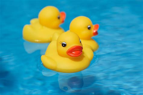 Rubber Ducky May Not Be The Friend We Thought He Was Kids First