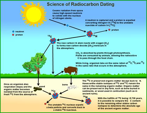 At its most basic level, carbon dating is the method of determining the age of organic material by measuring the levels of carbon found in it. Retrieving Mankind's Lost Heritage (5A) | End Time Upgrade