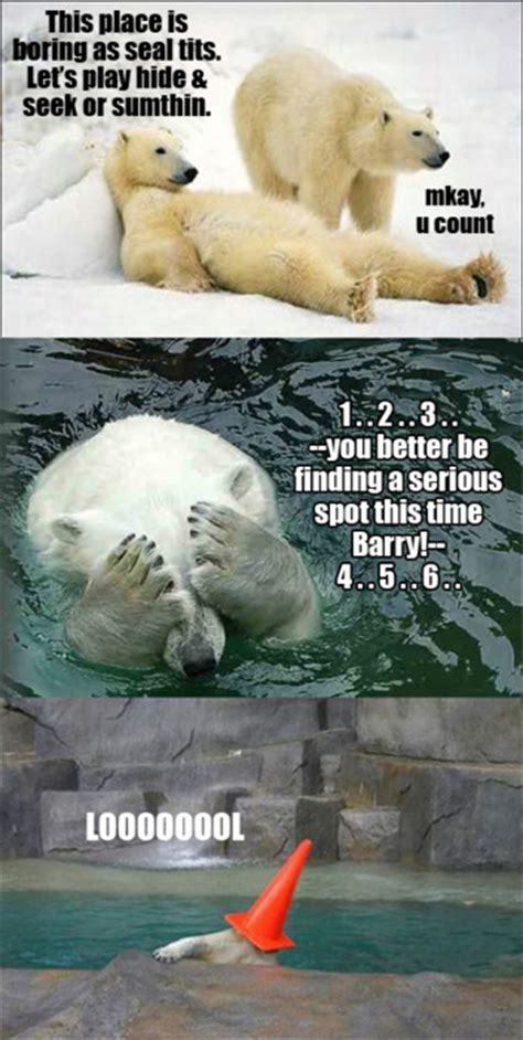 Polar Bear Fun Funny Pictures Quotes Pics Photos