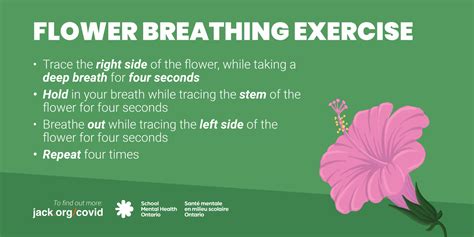 Resources – Wisdom2Action