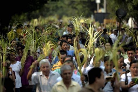 Los Signos Del Domingo De Ramos Perú Católico Líder En Noticias