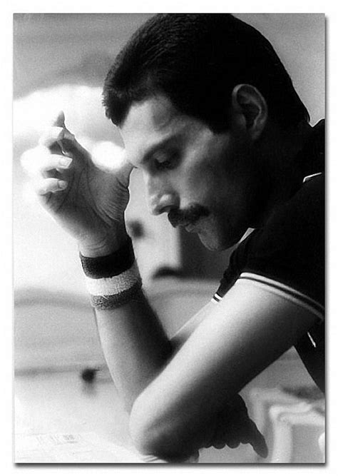 Hoje Freddie Mercury Completaria 66 Anos 35 Fotos Mdig