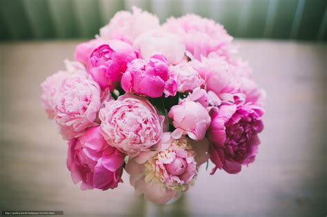 Check spelling or type a new query. 37+ Peonies Wallpaper Desktop on WallpaperSafari
