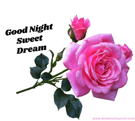 Good Night Sweet Dreams Images Good Night Friends Images Good Night