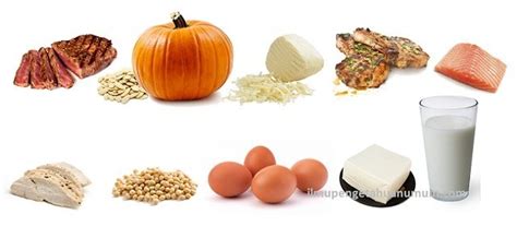 Proetin banyak terkandung di dalam makanan yang. 10 Makanan yang Mengandung Protein Tertinggi - Ilmu ...