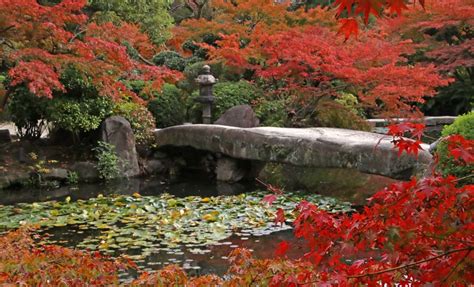 Japanese Gardens Gardensonline